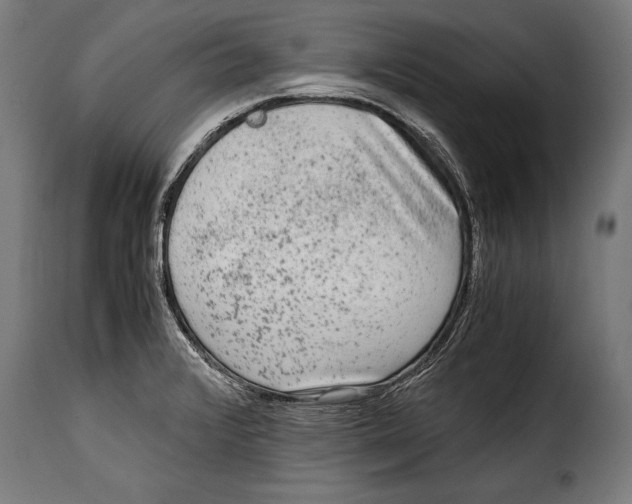 X0000115021376200911231240