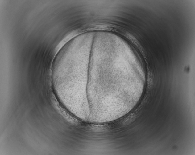 X0000115021378200911231240