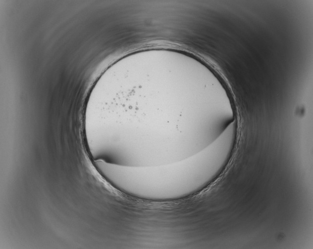 X0000115021381200911231240