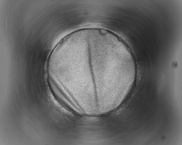 X0000115021382200911231240