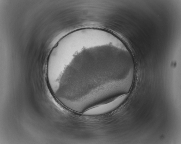 X0000115021383200911231240