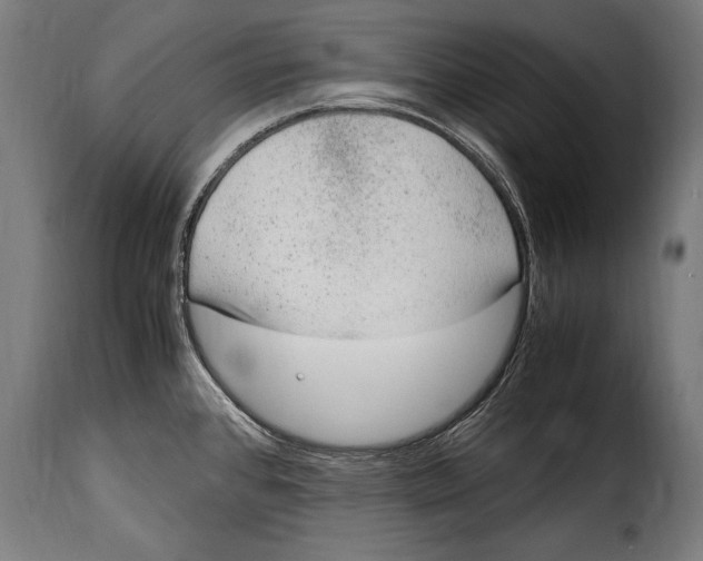 X0000115021384200911231240