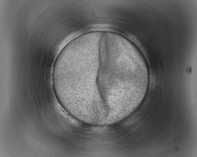 X0000115021386200911231240