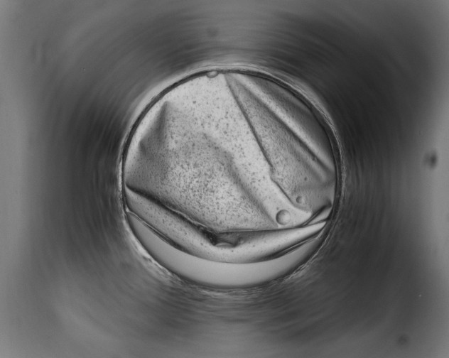 X0000115021388200911231240