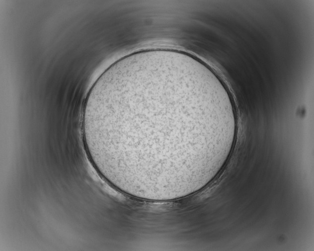 X0000115021390200911231240