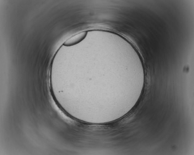 X0000115021391200911231240