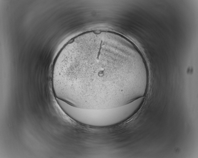 X0000115021392200911231240