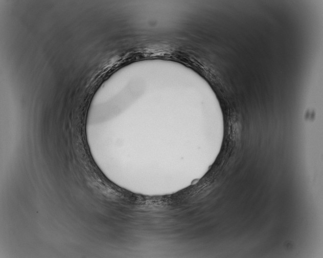 X0000115021393200911231239