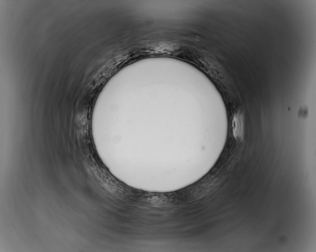 X0000115021395200911231239