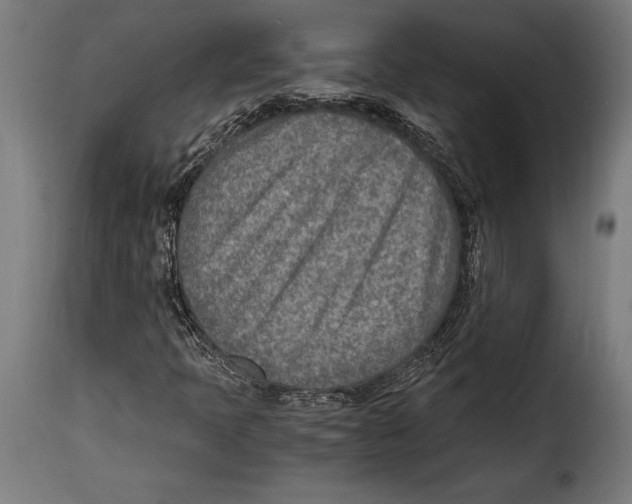 X0000115021397200911231239