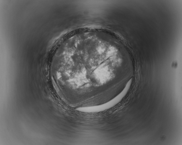 X0000115021398200911231239