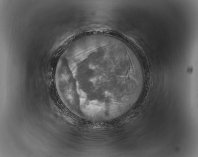 X0000115021399200911231239