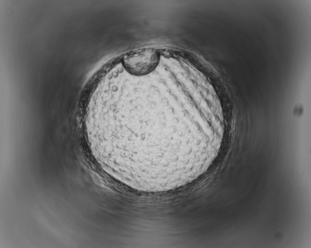 X0000115021400200911231239