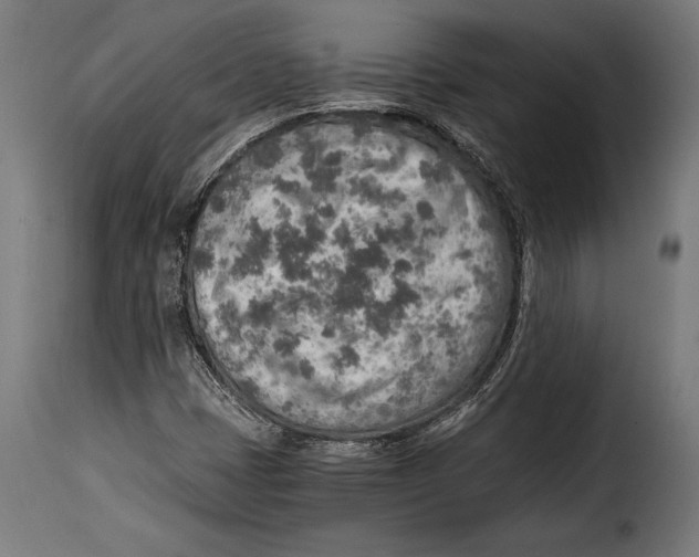 X0000115021401200911231239