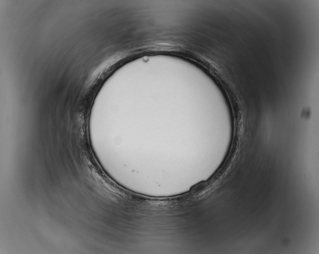 X0000115021402200911231239