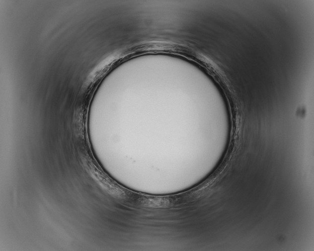 X0000115021403200911231239