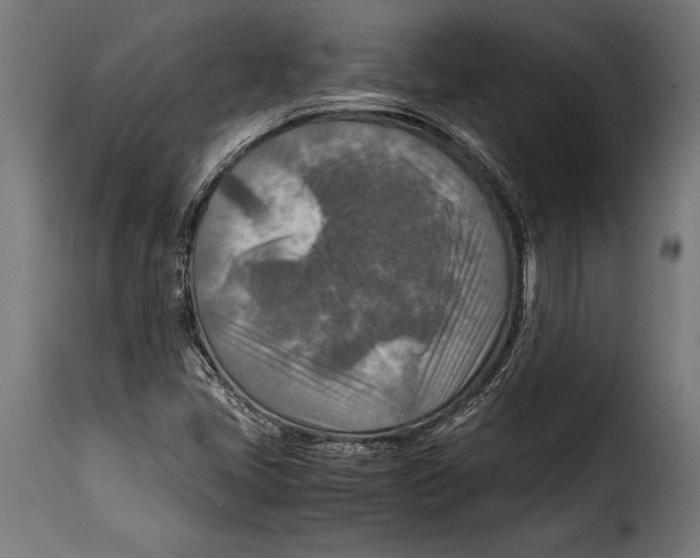 X0000115021405200911231239