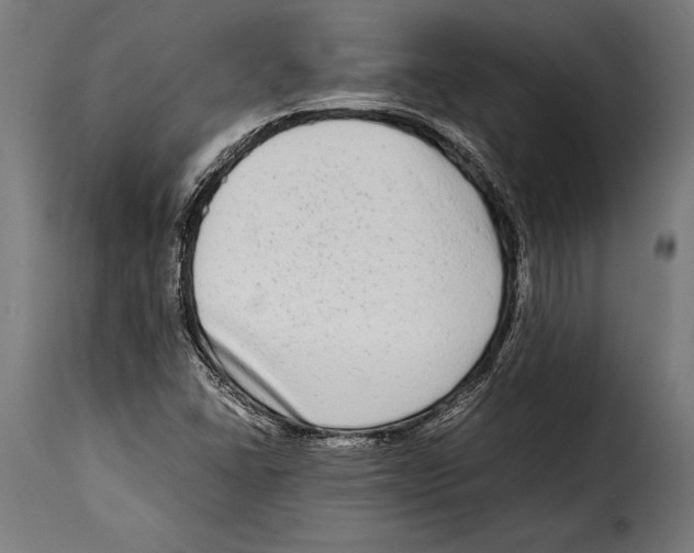 X0000115021406200911231239