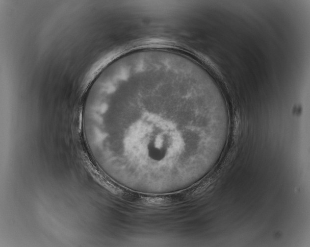 X0000115021413200911231239