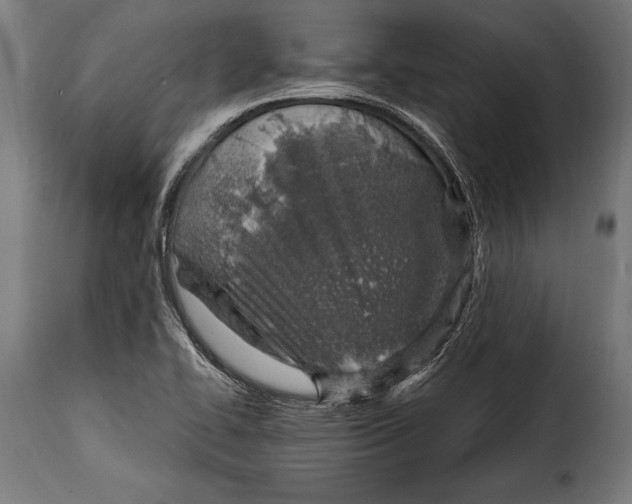 X0000115021414200911231239