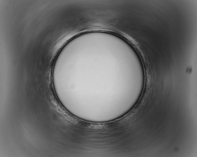 X0000115021415200911231240