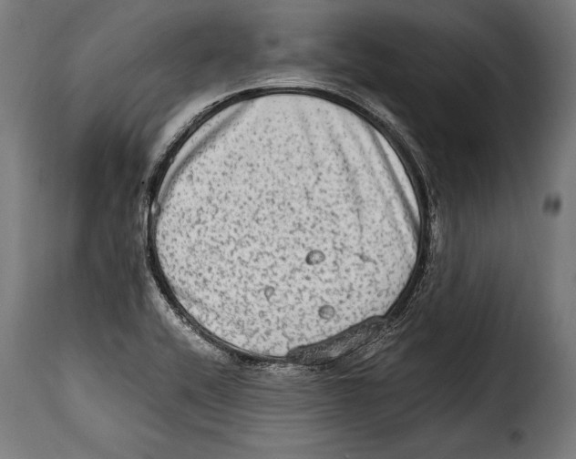 X0000115021416200911231240