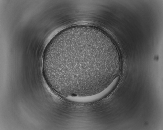 X0000115021418200911231240