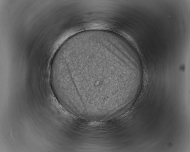 X0000115021419200911231240