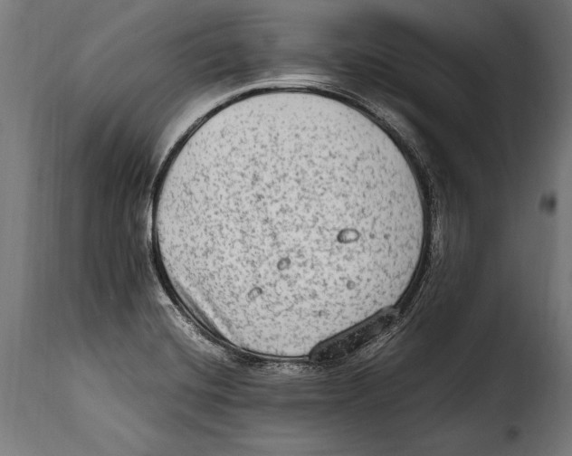 X0000115021420200911231240