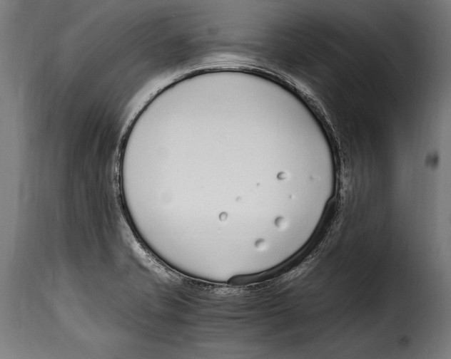 X0000115021421200911231240