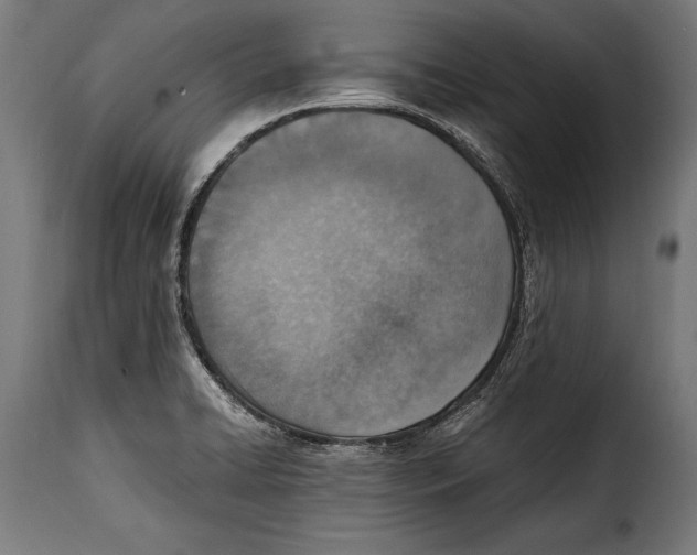 X0000115021422200911231240