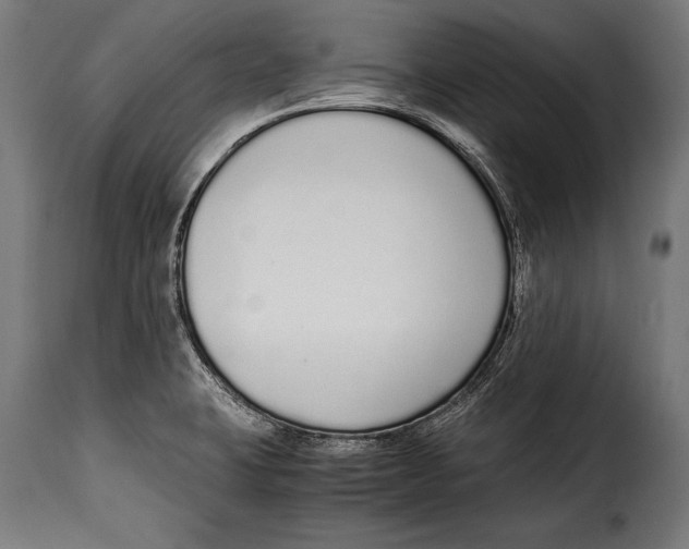 X0000115021423200911231240