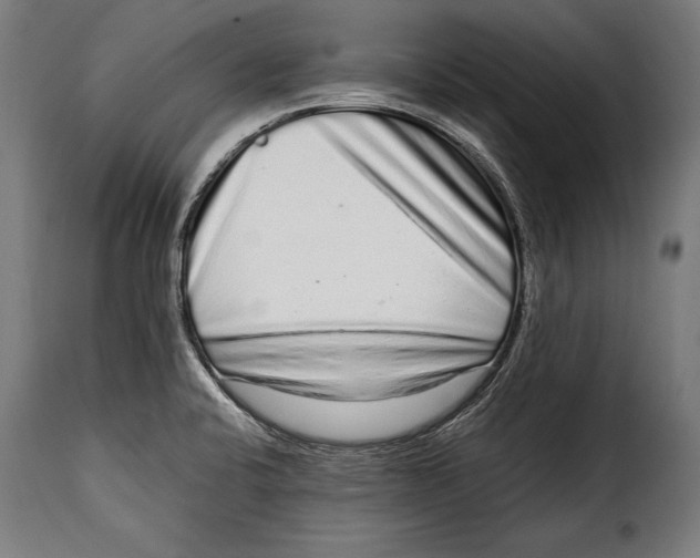 X0000115021424200911231240