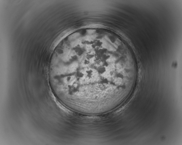 X0000115021425200911231240