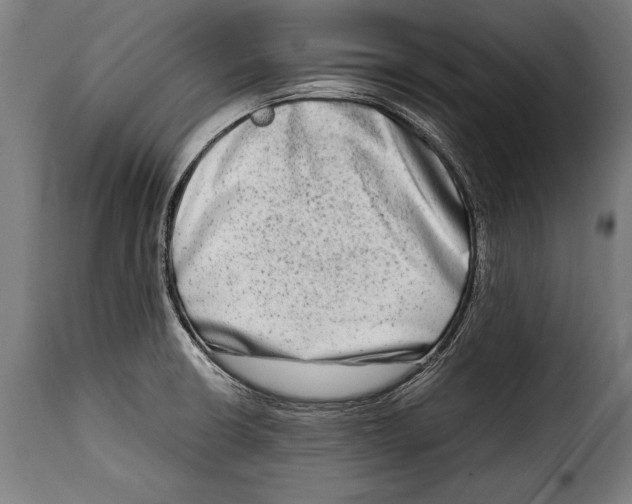 X0000115021426200911231240