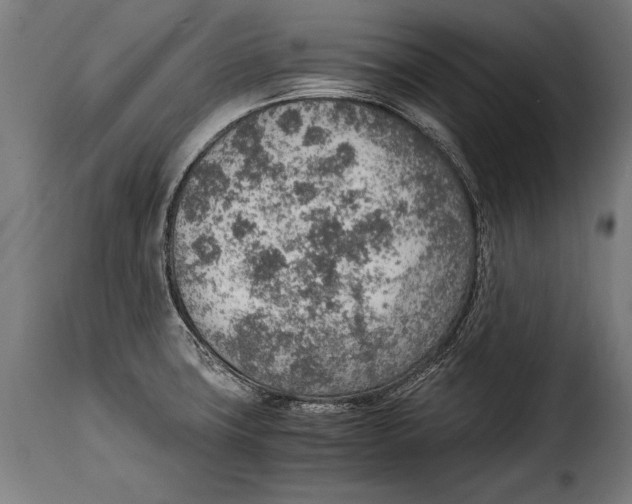 X0000115021427200911231240