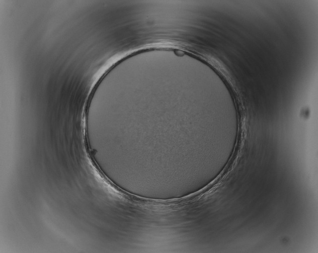 X0000115021428200911231240