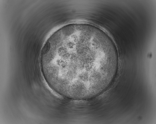 X0000115021429200911231240