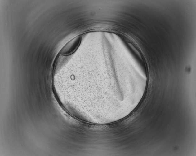 X0000115021434200911231240