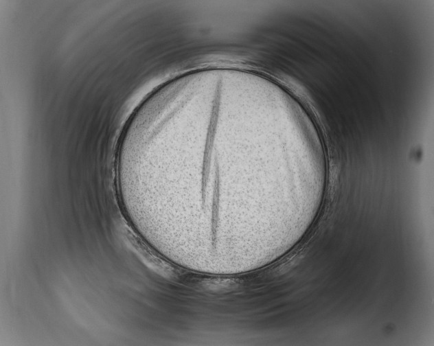 X0000115021435200911231240