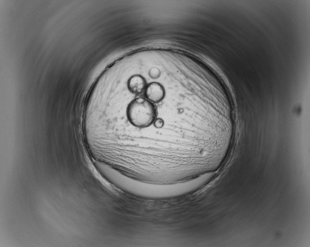 X0000115021437200911231240