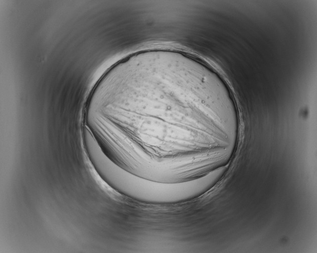 X0000115021438200911231240