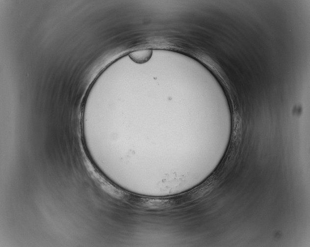 X0000115021439200911231240