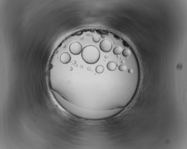 X0000115021440200911231240