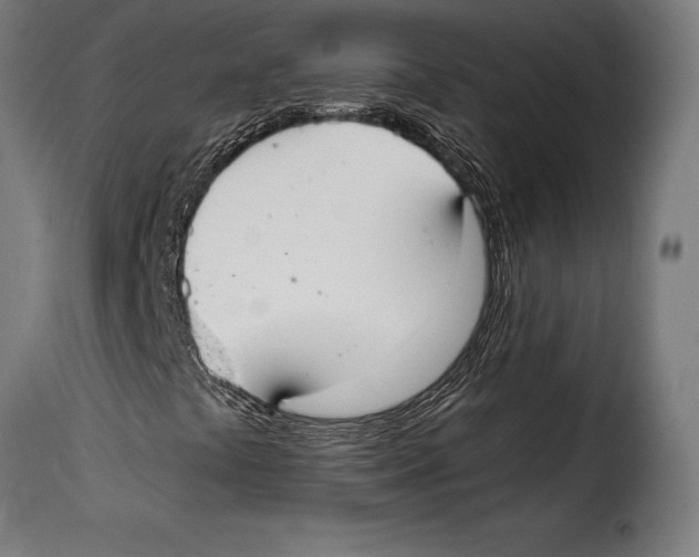 X0000115021441200911231239