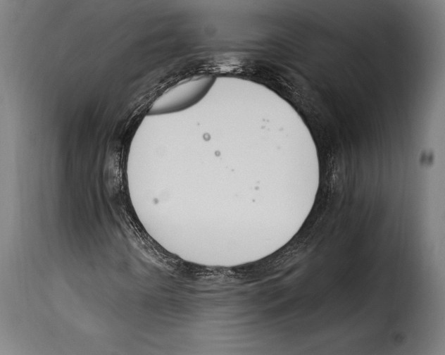 X0000115021442200911231239