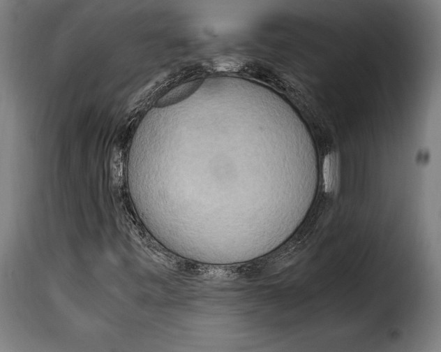 X0000115021443200911231239