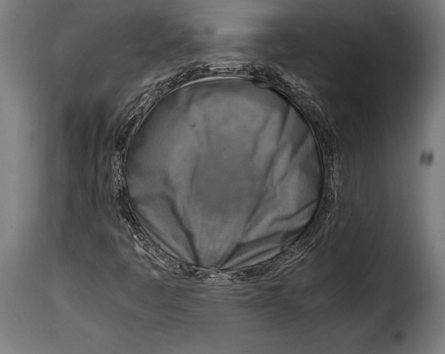 X0000115021445200911231239