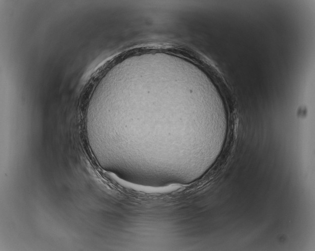 X0000115021448200911231239