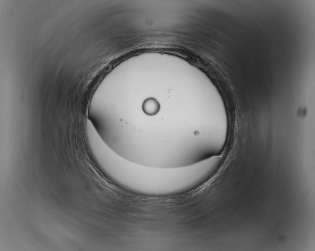 X0000115021449200911231239